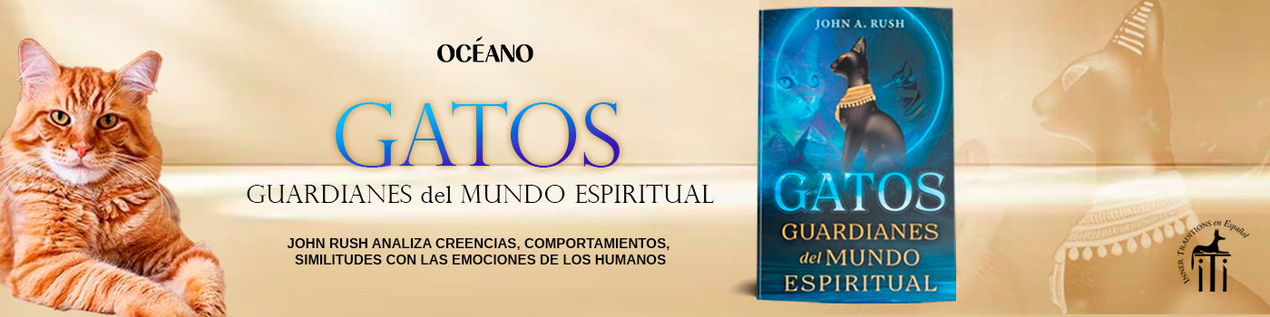 Banner-gatos-inner-1400x350px